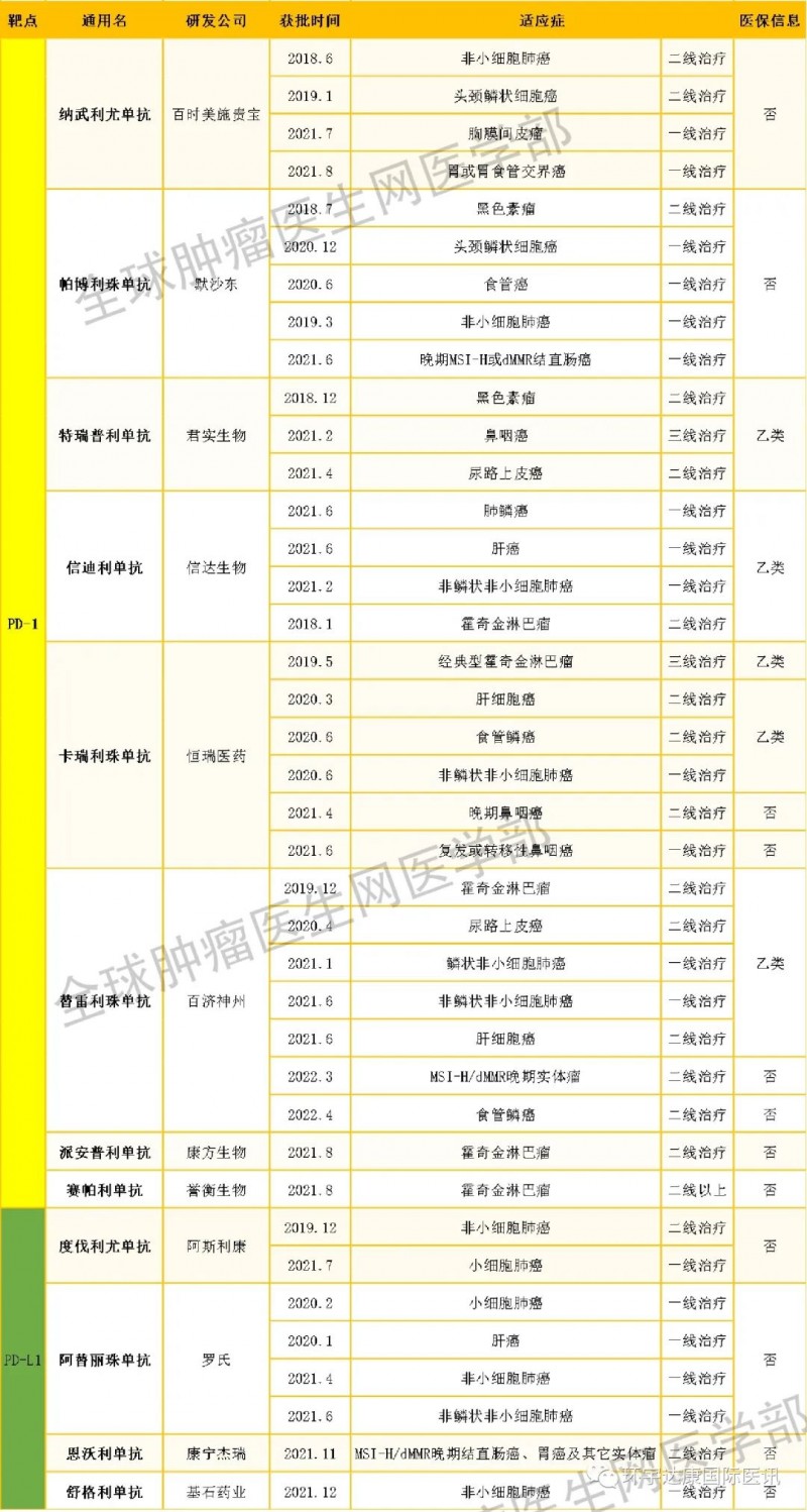 国内上市的免疫治疗药物