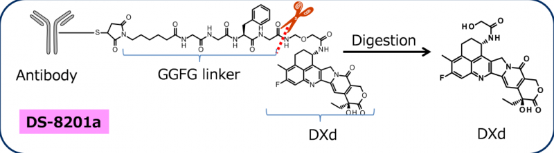 DS8201分子结构