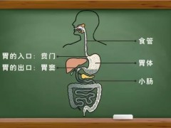 中国人为什么会得胃癌,中国式胃癌怎么治疗,治疗胃癌的新药新疗法有有哪些
