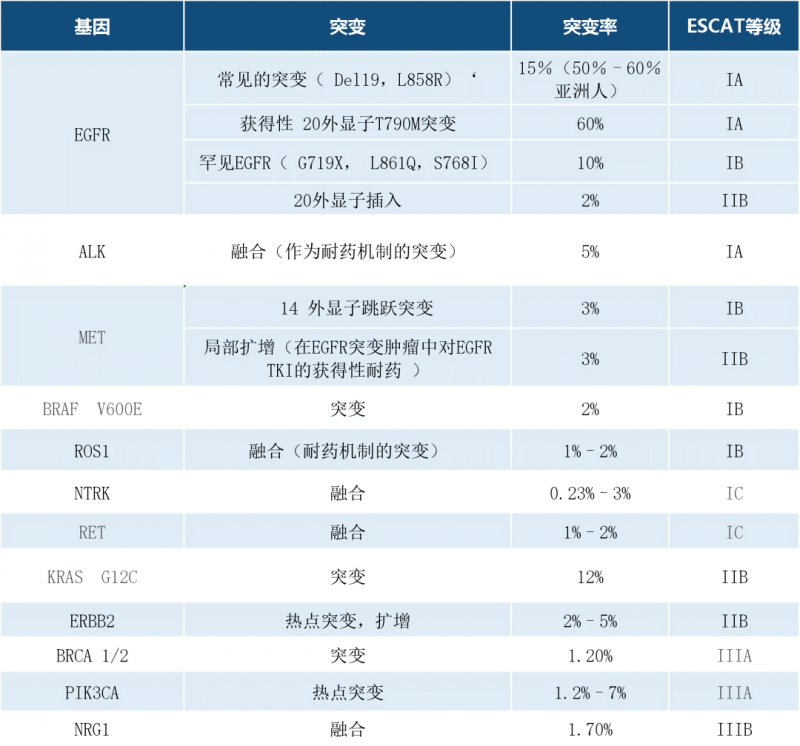 晚期非鳞状非小细胞肺癌NGS检测建议