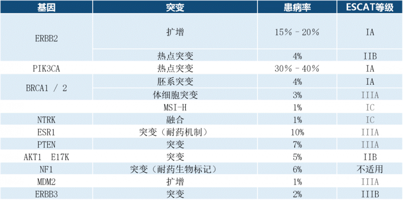 转移性乳腺癌NGS检测建议