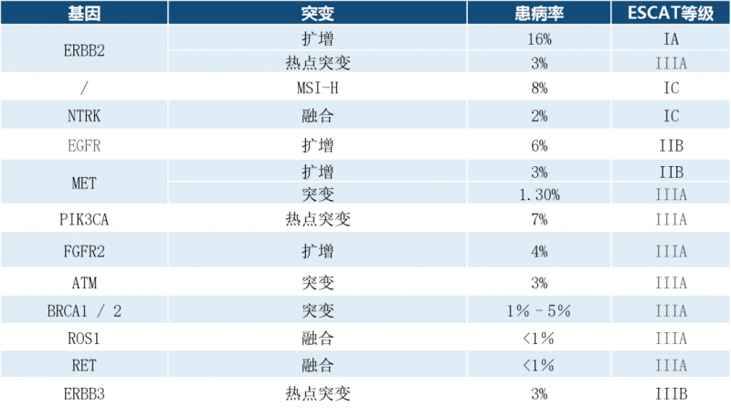 转移性胃癌NGS检测建议