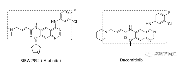 阿法替尼和达克替尼的分子结构