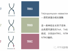 所有癌症肿瘤患者都应该做的钻石突变NTRK检测应该怎么做,NTRK基因突变靶向药有哪些