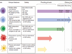 细胞免疫疗法开启CAR-M、CAR-T、CAR-NK三强争霸的模式