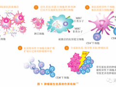 个性化肿瘤疫苗,基于肿瘤新抗原的个性化抗肿瘤疫苗将成为肿瘤免疫治疗的新突破