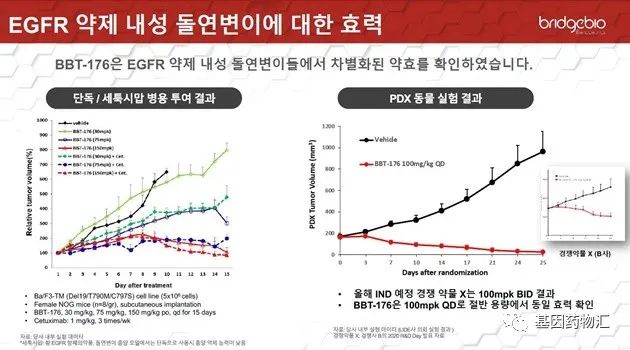 BBT-176的临床前研究结果