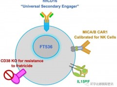 CAR-NK临床试验,FDA批准特异性CAR-NK疗法FT536治疗实体瘤的临床试验申请