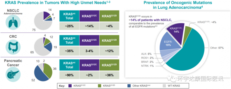 KRAS靶点突变概率