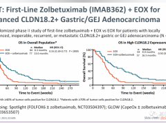 胃癌Claudin18.2(CLDN18.2)的患者有了新的希望,CLDN18.2靶向药、细胞疗法等疾病控制率高达83.3%