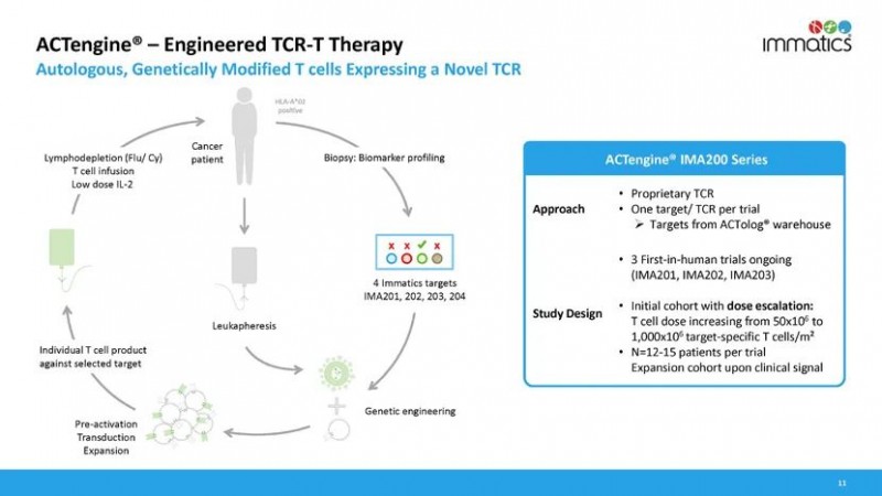 TCR-T疗法IMA203只流程