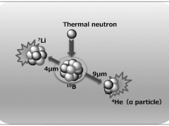 硼药/硼中子(BNCT)俘获治疗,BNCT/硼中子俘获疗法(boron neutron capture therapy),硼中子俘获治疗原理