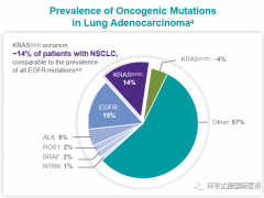 全球第二款KRAS G12C抑制剂Adagrasib(MRTX849、阿达格拉西布)对肺癌PD-1耐药、脑转移扔有效
