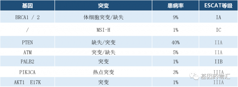 前列腺癌基因突变靶点