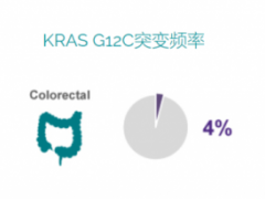 KRAS G12C突变靶向药,KRAS G12C抑制剂索托拉西布(AMG510、Lumakras)治疗胰腺癌84.2%的患者肿瘤缩小,更多的KRAS G12C临床试验招募正在进行中