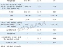 国产BCMACAR-T疗法西达基奥仑赛(Carvykti、Cilta-cel、Ciltacabtagene Autoleucel),90%的患者肿瘤完全消失