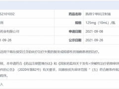 宫颈癌新药,全球首款PD-1/CTL-4双抗药物卡度尼利单抗(Cadonilimab、凯得宁单抗注射液)治疗宫颈癌在中国获批上市