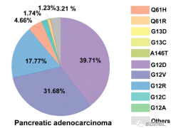 胰腺癌靶向治疗,这6类新的胰腺癌靶向治疗方案疾病控制率高达100%