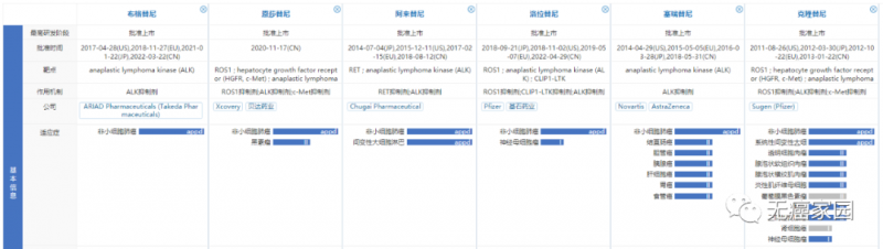 国内上市的6款ALK抑制剂