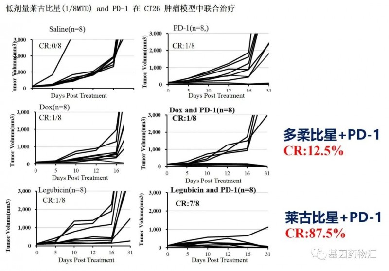 多柔比星和莱古比星治疗数据对比