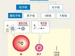 精准放疗中的质子治疗适合哪些肿瘤