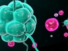 NK细胞疗法将助癌症肿瘤患者突破5年生存大关