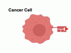 TCR-T是什么意思,新型T细胞疗法TCRT细胞疗法治疗肺癌、胰腺癌、肝癌、肉瘤等恶性肿瘤锋芒初现