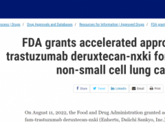 2022年8月11日首个肺癌HER2靶向药德喜曲妥珠单抗(Enhertu、DS8201、Trastuzumab Deruxtecan、T-DXd)获批上市