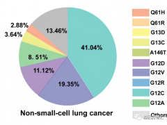 KRAS G12C抑制剂MRTX849(阿达格拉西布、Adagrasib)治疗非小细胞肺癌2个周期,病灶缩小31%,3个脑转移病灶消失
