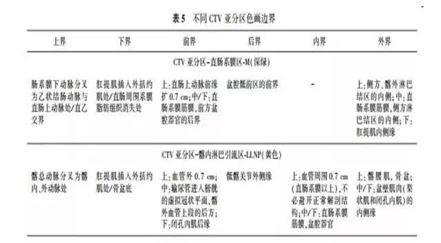 不同CTV亚分区色画边界