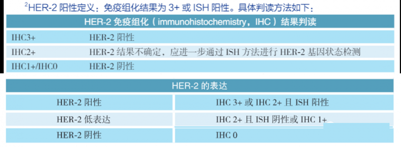 HER2的三分法时代