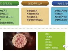 干细胞和免疫细胞的区别,干细胞与免疫细胞的区别是什么