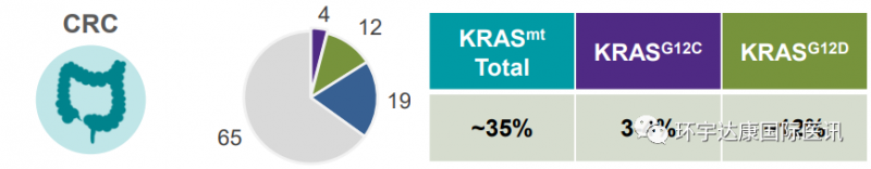 KRAS G12C基因突变的概率