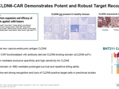 CAR-T治疗效果如何,CAR-T细胞疗法治疗晚期癌症转移患者完全缓解
