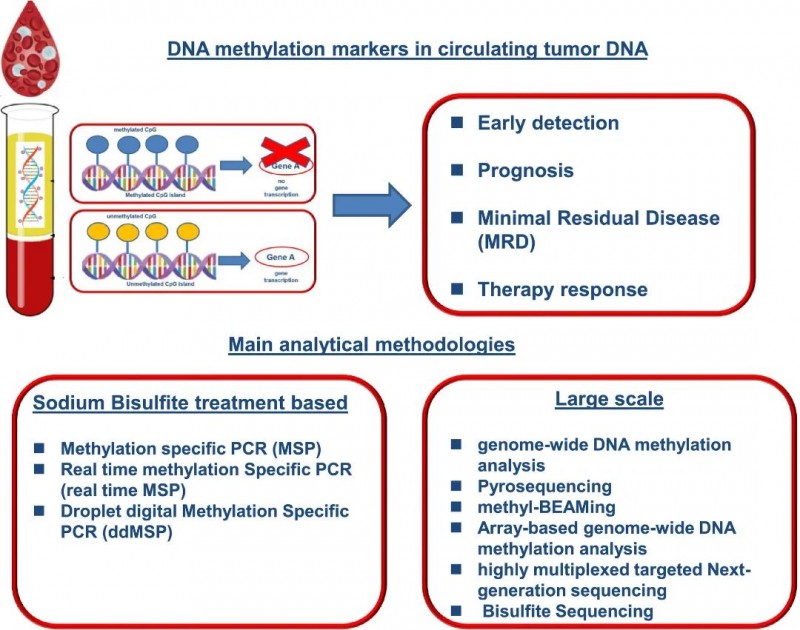 ctDNA甲基化分析的主要两种方法