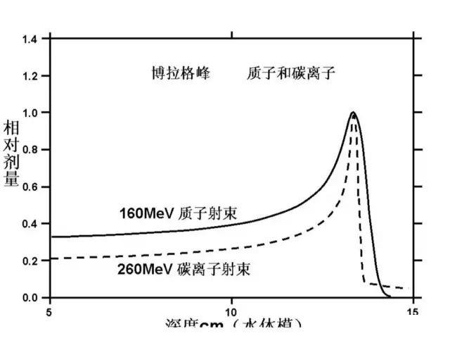 质子重离子治疗的布拉格峰