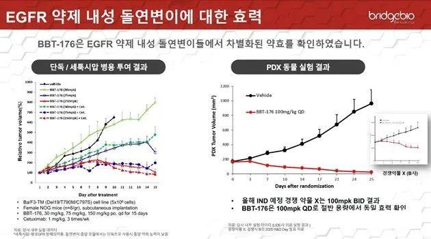 BBT-176的临床前研究结果