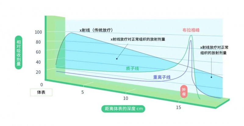 不同放射线的相对吸收剂量