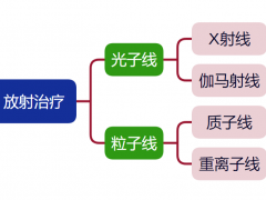 什么是质子重离子放疗