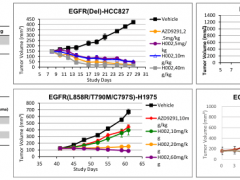 第四代EGFR抑制剂H002临床试验正在招募非小细胞肺癌患者