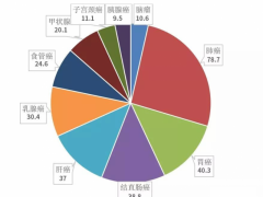 中国肺癌靶向治疗和肺癌免疫治疗