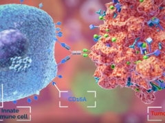 新型cbNK细胞疗法治疗癌症肿瘤客观缓解率高达100%