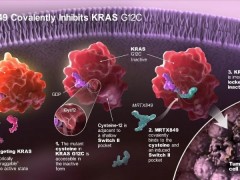 全球第二款肺癌KRAS G12C突变靶向药Adagrasib(MRTX849、阿达格拉西布、Krazati)获批上市