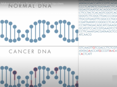 癌症疫苗(mRNA-4157/V940)联合PD-1(K药)患者复发或死亡风险降低44%