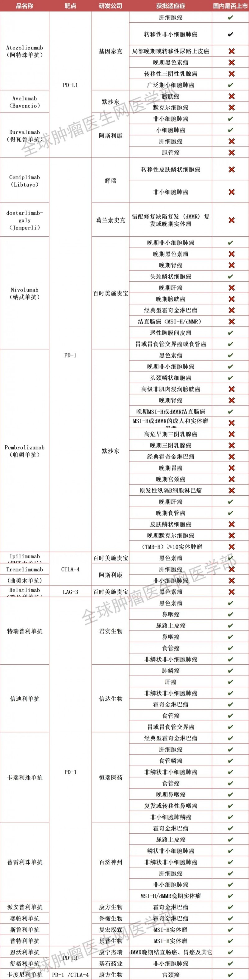 免疫检查点抑制剂