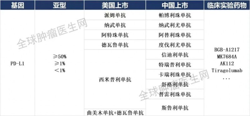 非小细胞肺癌PD-L1抑制剂