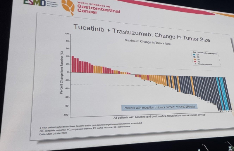 图卡替尼联合曲妥珠单抗治疗HER2阳性结直肠癌的数据
