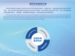 人体低温保存及复苏研究-低温医学:-196℃,探索生命科学的中国温度