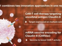 CAR-T疗法BNT211联合mRNA疫苗CARVac已有患者完全缓解