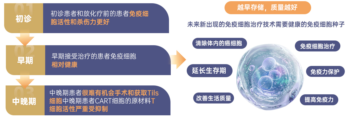 tils细胞存储